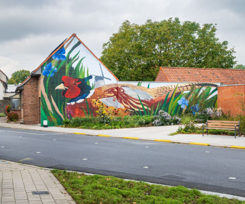 Street art graffiti mural wevelgem artist han coussement 10