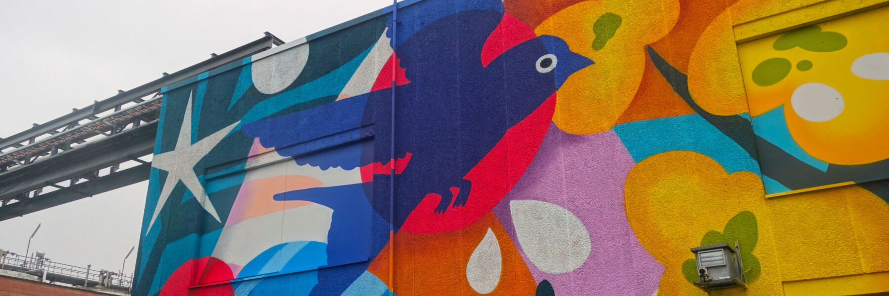 Street art graffiti mural muurschildering gent oleon artiest jellyfish partick croes 6