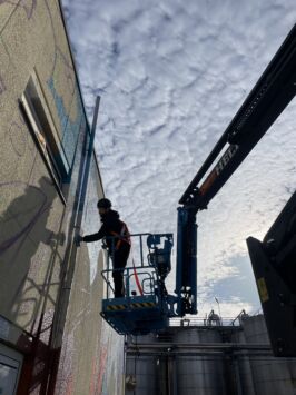 Street art graffiti mural muurschildering gent oleon artiest jellyfish partick croes