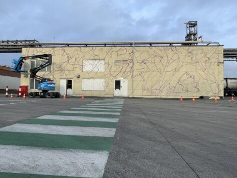 Street art graffiti mural muurschildering gent oleon artiest jellyfish partick croes 7