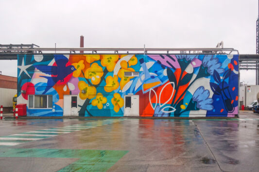 Street art graffiti mural muurschildering gent oleon artiest jellyfish partick croes 10