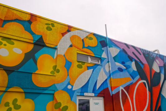 Street art graffiti mural muurschildering gent oleon artiest jellyfish partick croes 5