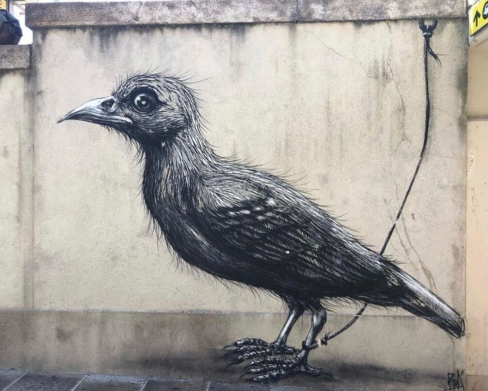 ROA streetart graffiti artiest