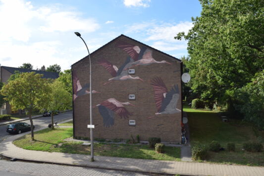 Taquen streetart graffiti artiest10