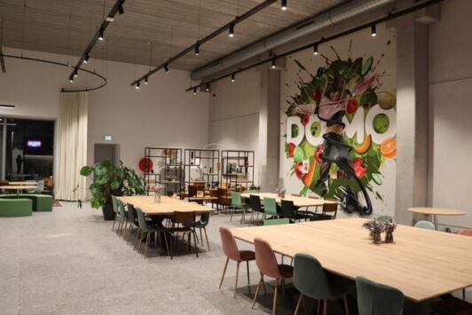 Street art graffiti artist aces mural domo elektro11