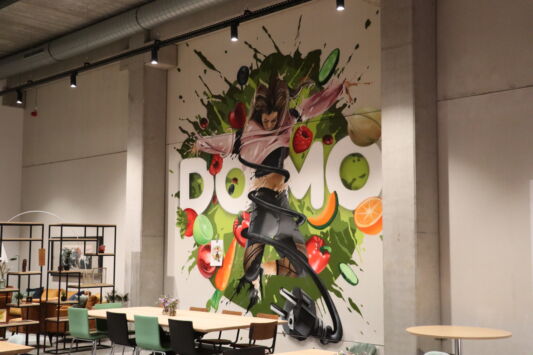 Street art graffiti artist aces mural domo elektro