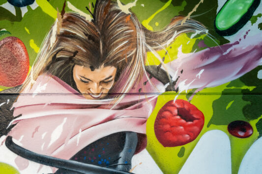 Street art graffiti artist aces mural domo elektro4