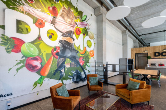 Street art graffiti artist aces mural domo elektro6