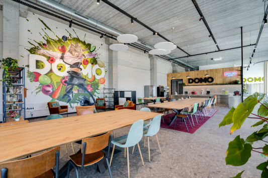 Street art graffiti artist aces mural domo elektro9