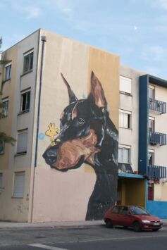 Street art graffiti muurchildering mural graffiti goldrush louresartepublica3