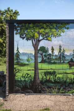 Street art graffiti artist jamz jameson mural greta everaert3