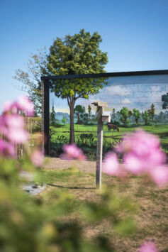 Street art graffiti artist jamz jameson mural greta everaert7