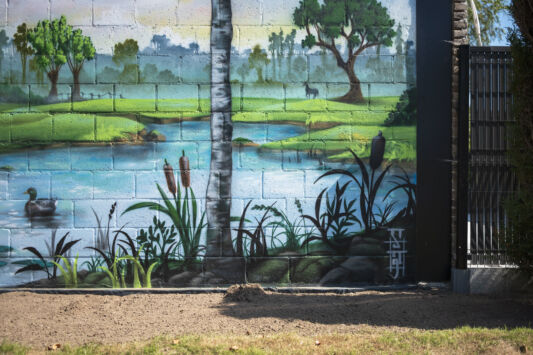 Street art graffiti artist jamz jameson mural greta everaert5