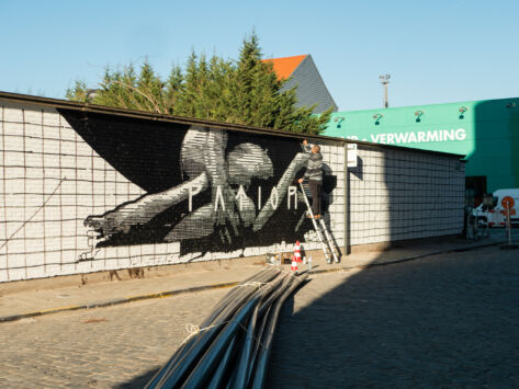 Street art graffiti mural artiest huariu ibis budget hotel regio gent5 jpg