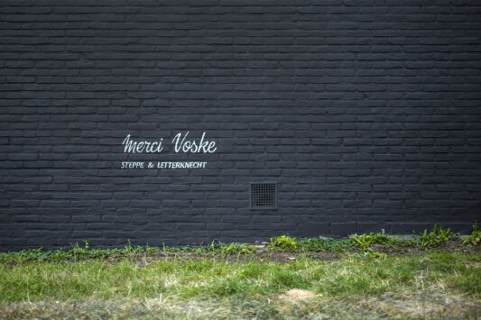 Street art graffiti muurschildering mural artiest steppe letterknecht project luc de vos radio willy regio lokeren gent6