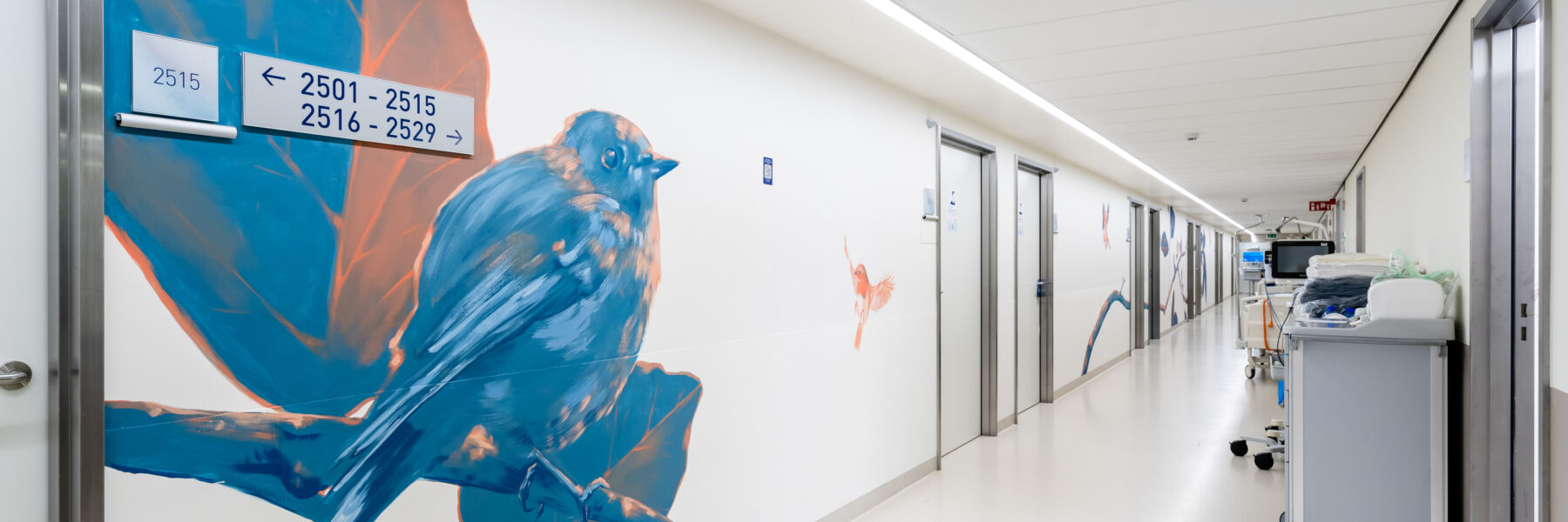 Street art graffiti artists ioata Nean mural az maria middelares10