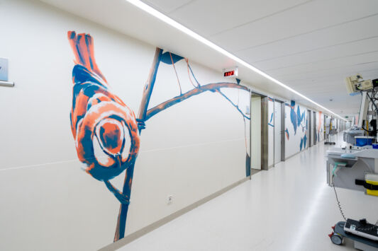 Street art graffiti artists ioata Nean mural az maria middelares1