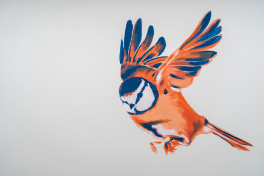 Street art graffiti artists ioata Nean mural az maria middelares12