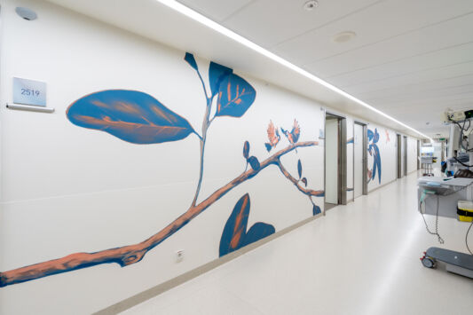 Street art graffiti artists ioata Nean mural az maria middelares15