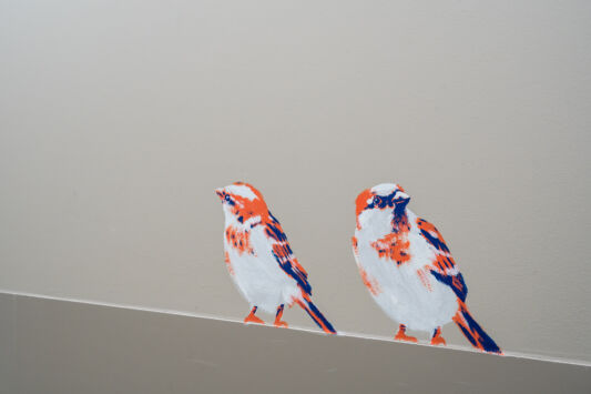 Street art graffiti artists ioata Nean mural az maria middelares17